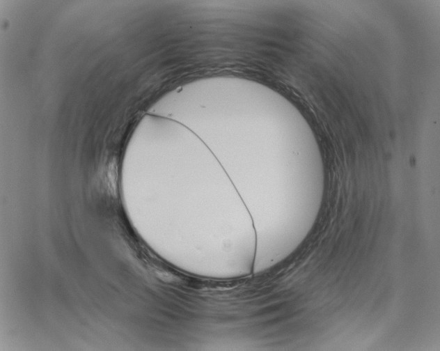 X0000064730647200603131254