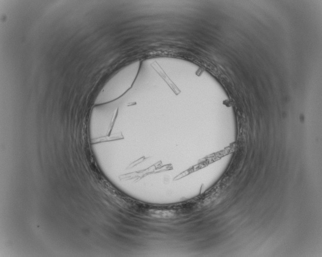 X0000064730649200603131254