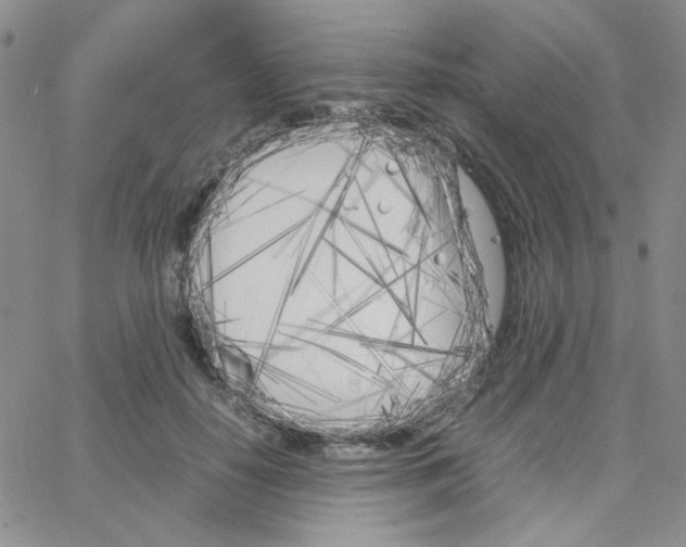 X0000064730650200603131254