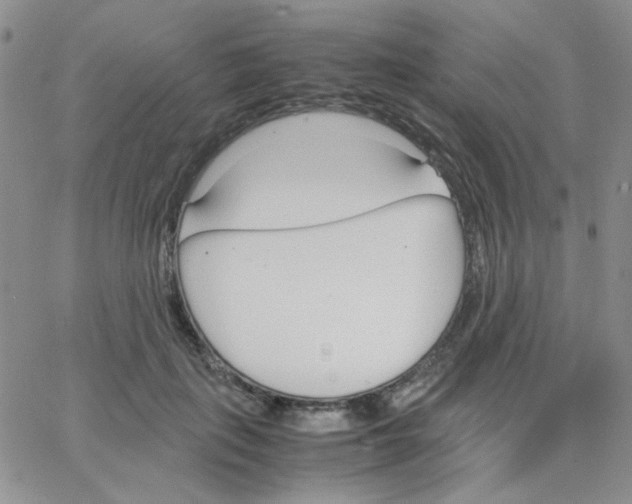 X0000064730651200603131254