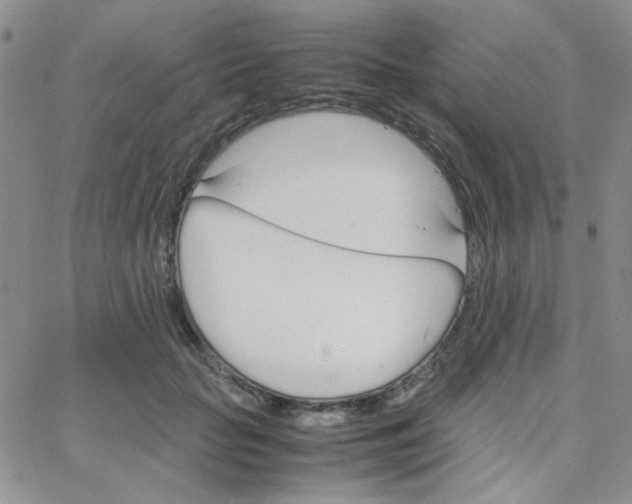 X0000064730653200603131254