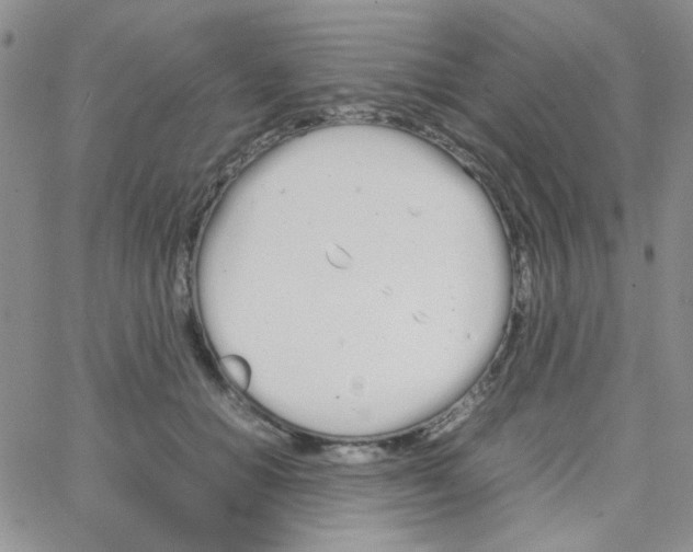 X0000064730654200603131254