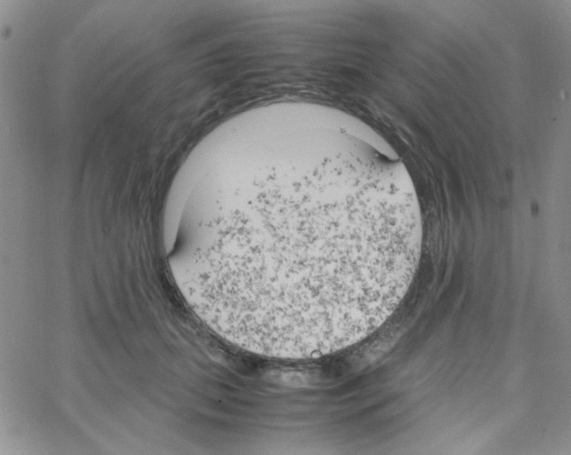 X0000064730655200603131254