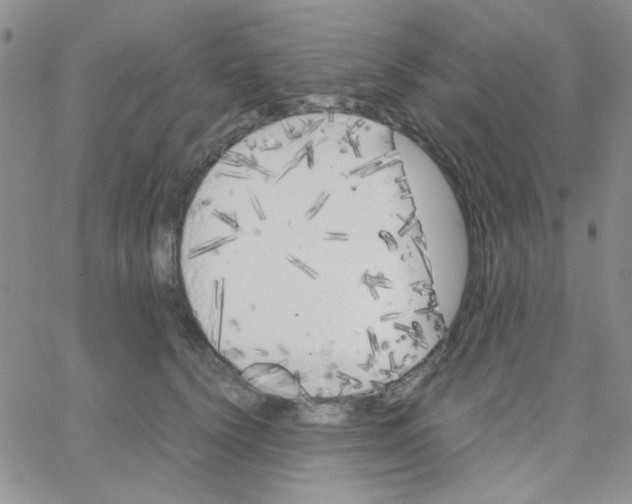 X0000064730656200603131254