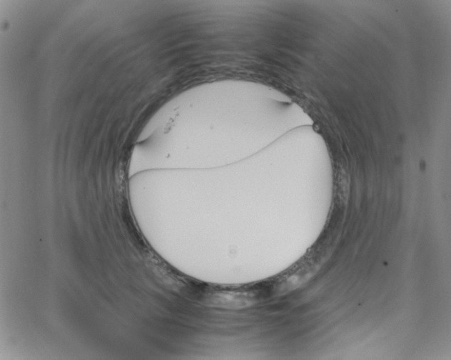 X0000064730657200603131254