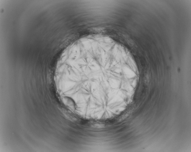 X0000064730658200603131254