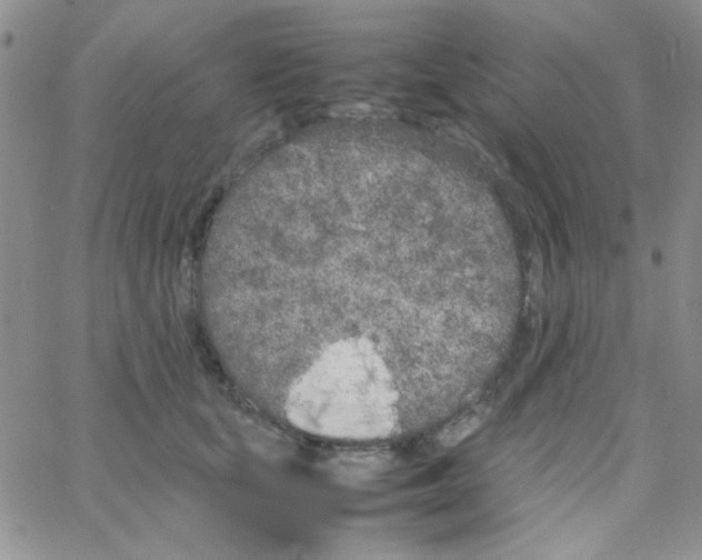 X0000064730659200603131254