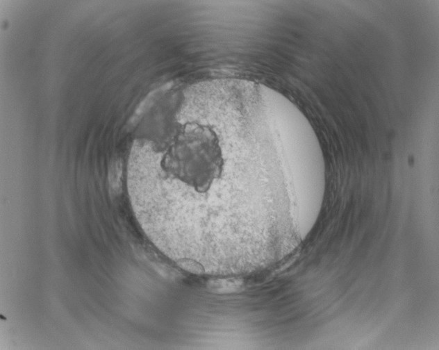 X0000064730660200603131254