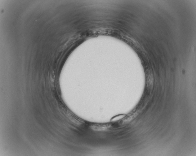 X0000064730661200603131254