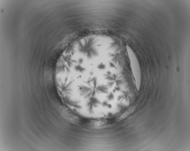 X0000064730662200603131254