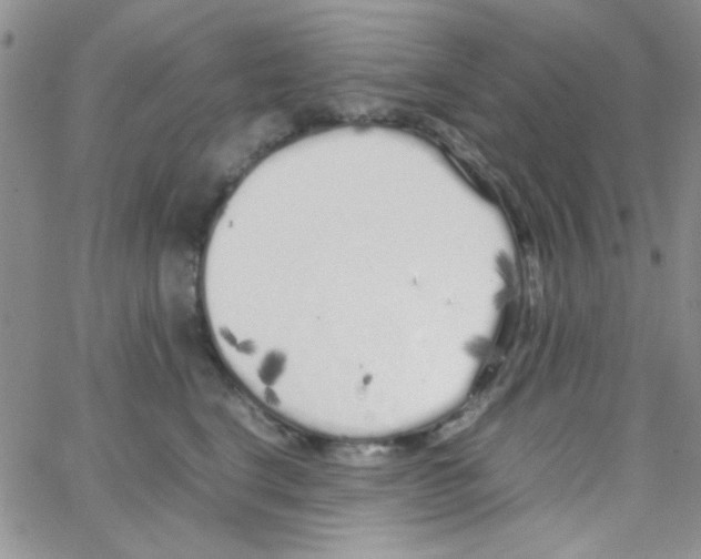 X0000064730664200603131254