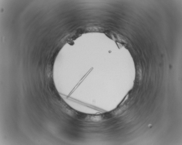 X0000064730665200603131254