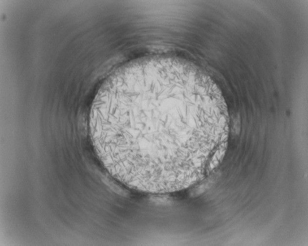 X0000064730666200603131254