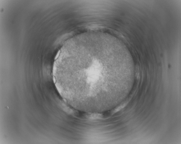 X0000064730670200603131254