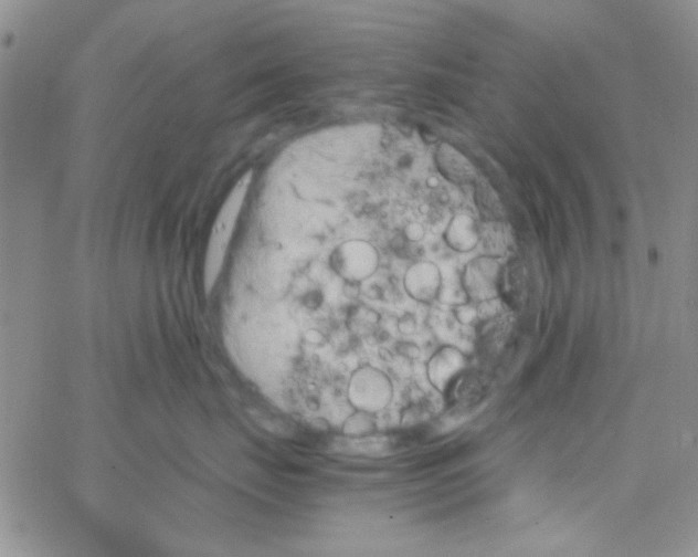 X0000064730671200603131255