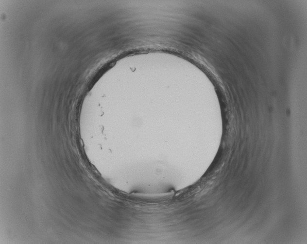 X0000064730673200603131254