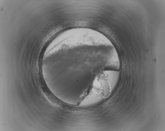 X0000064730674200603131254