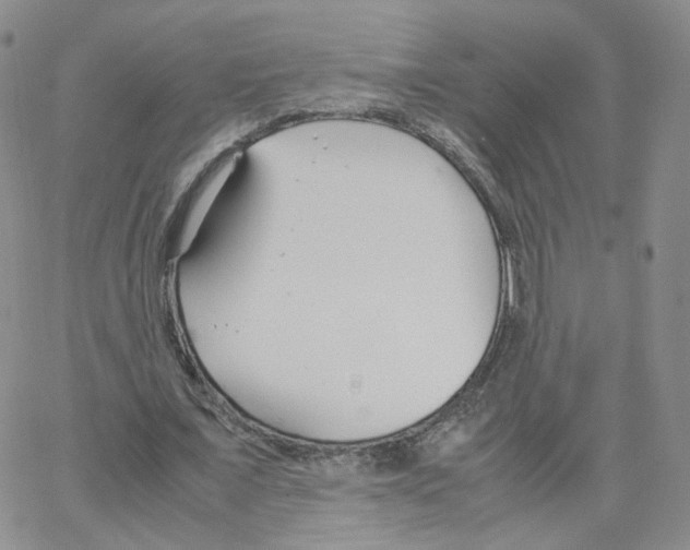 X0000064730675200603131254