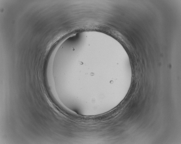 X0000064730677200603131254