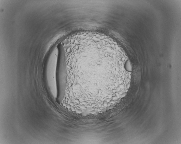 X0000064730679200603131254