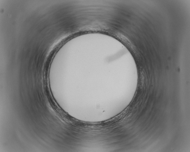 X0000064730680200603131254