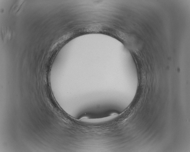 X0000064730681200603131254