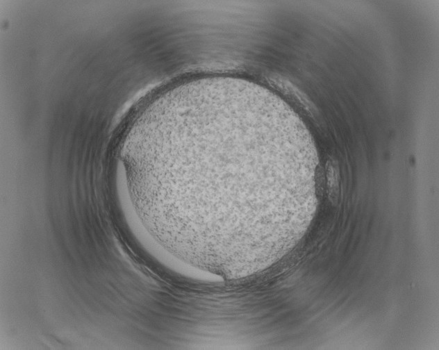 X0000064730684200603131254