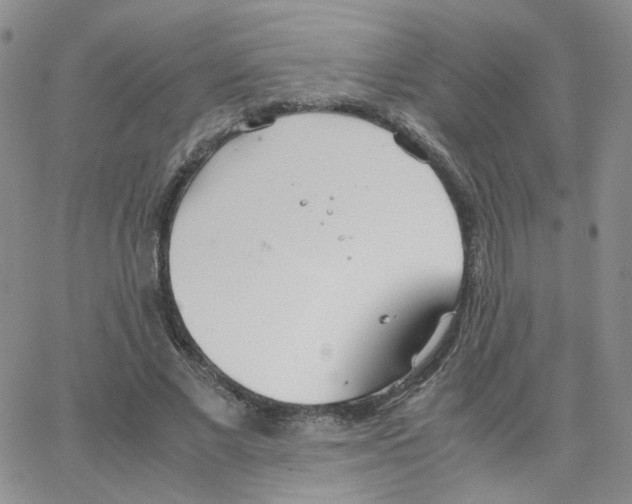 X0000064730685200603131254