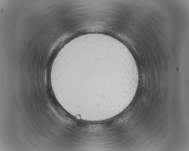 X0000064730686200603131254