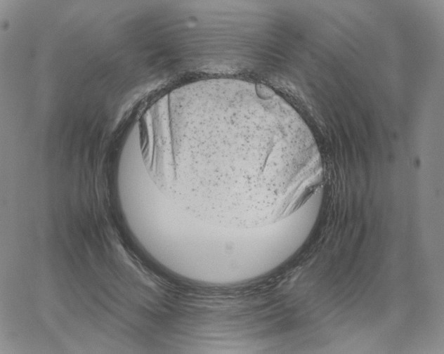 X0000064730688200603131254