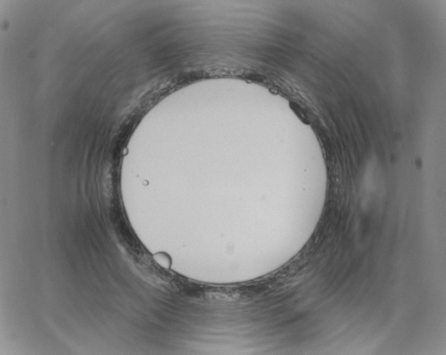 X0000064730690200603131253