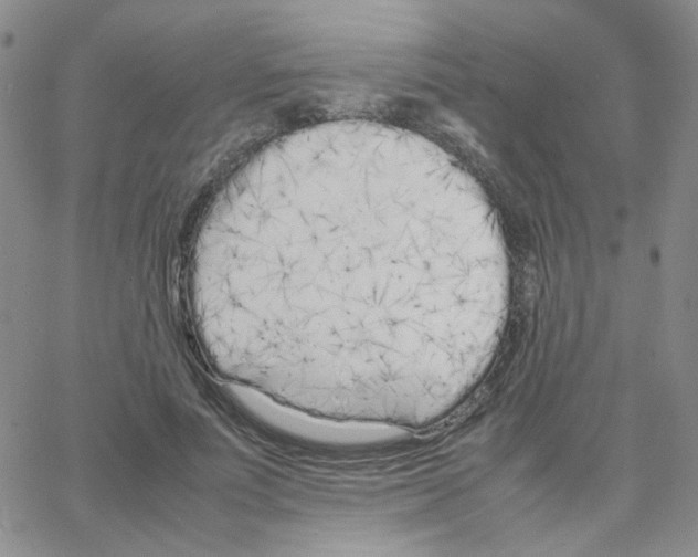 X0000064730691200603131253