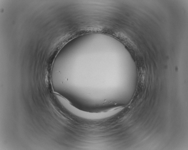 X0000064730692200603131253