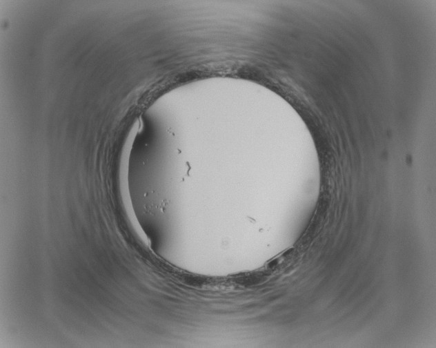 X0000064730693200603131253