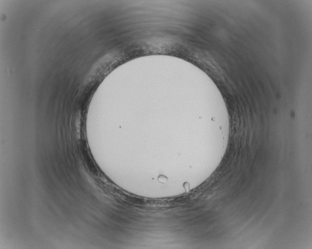 X0000064730694200603131253