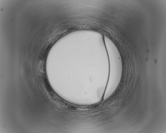 X0000064730695200603131253