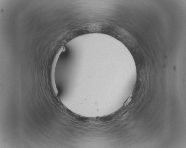 X0000064730697200603131253