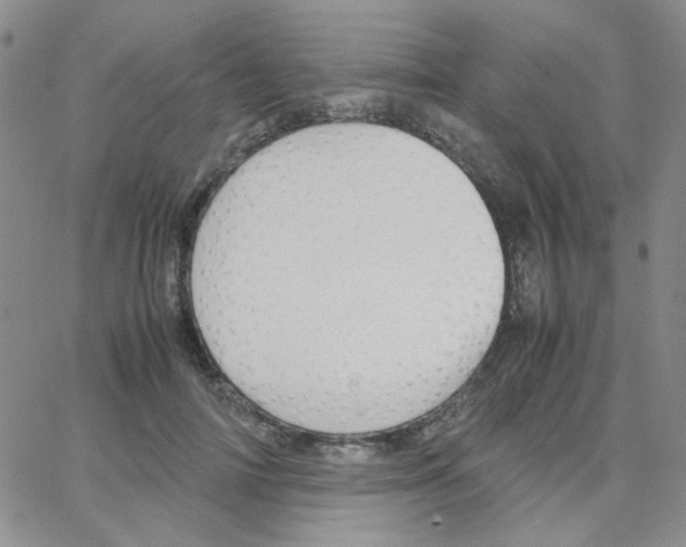 X0000064730698200603131253