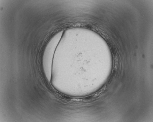 X0000064730699200603131253