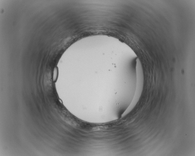 X0000064730700200603131253