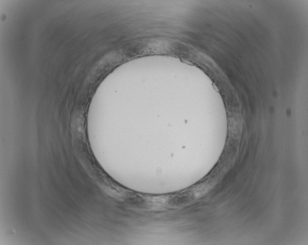 X0000064730701200603131253