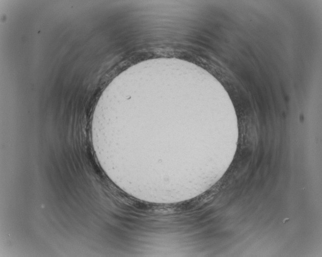 X0000064730702200603131253