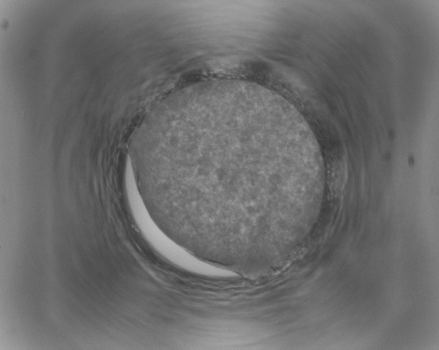 X0000064730703200603131253