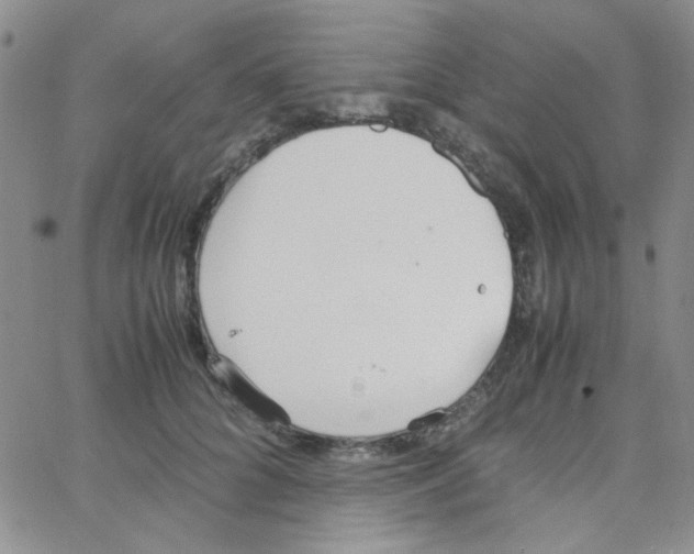 X0000064730704200603131253