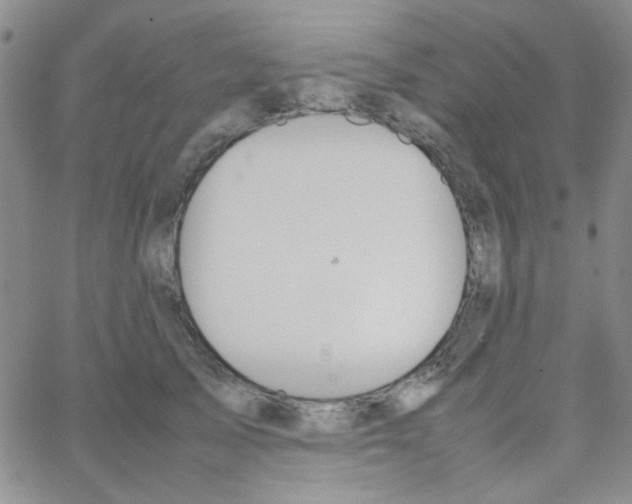 X0000064730705200603131253