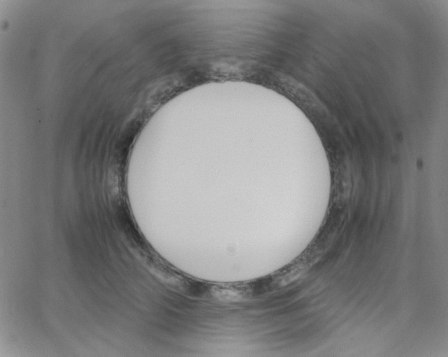 X0000064730706200603131253