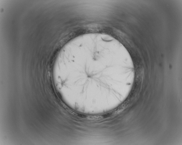 X0000064730707200603131253