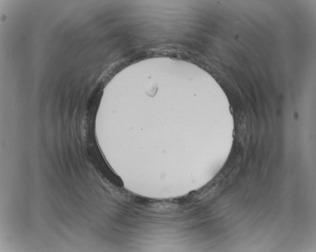 X0000064730708200603131253