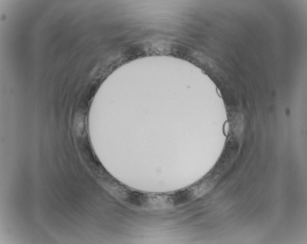 X0000064730709200603131253