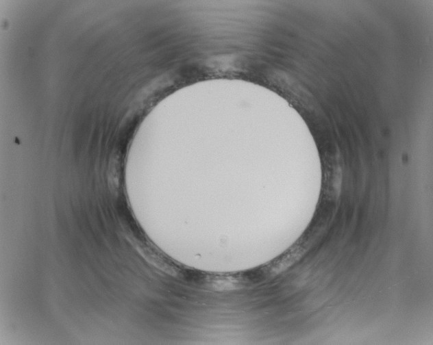 X0000064730710200603131253